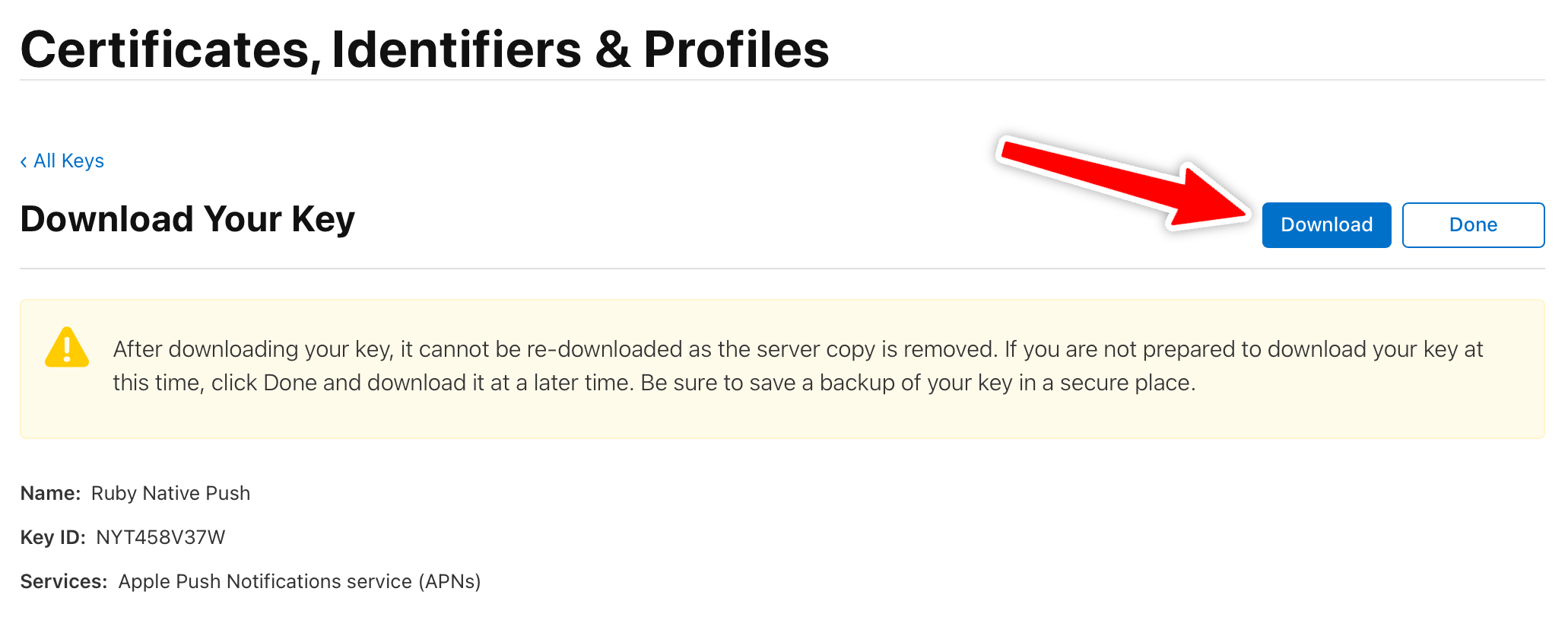 Download Your Key page showing Key ID and Download button