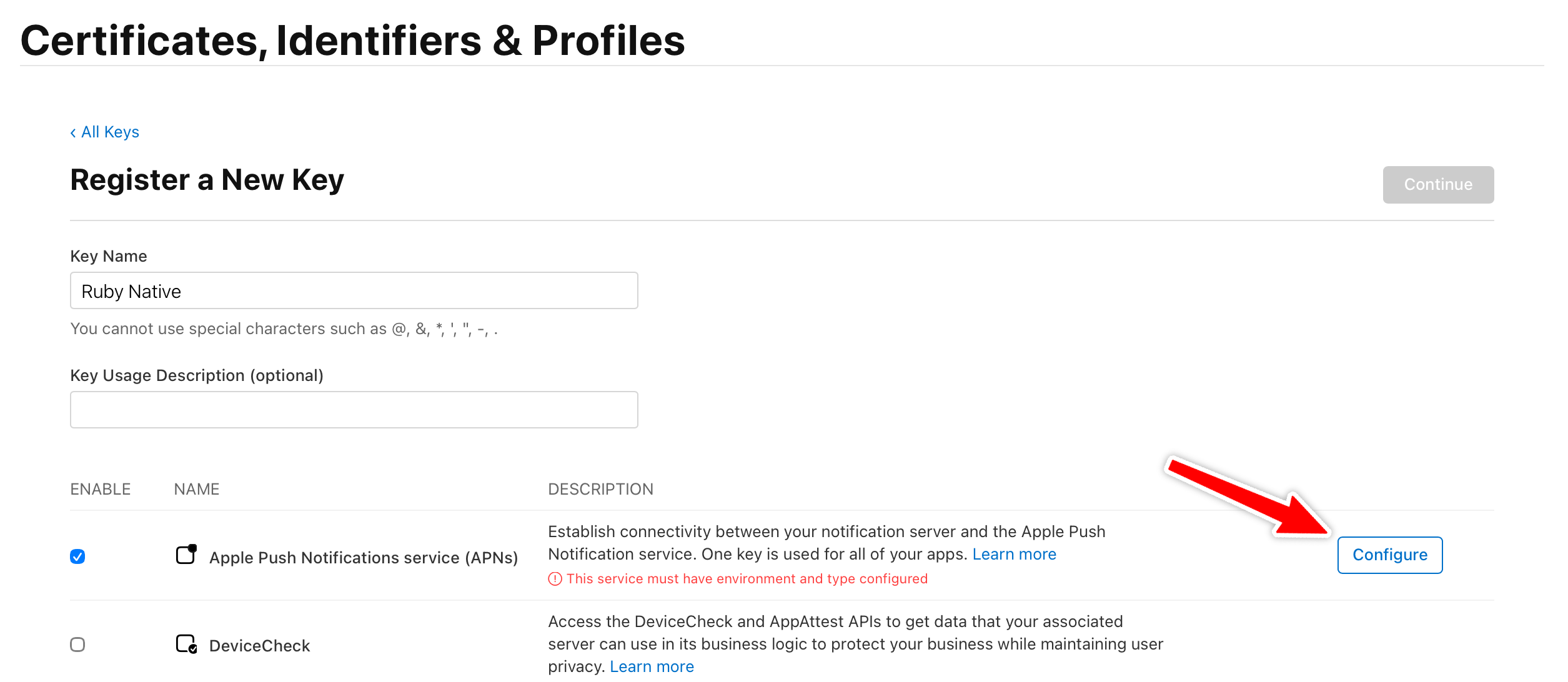 Register a New Key page with APNs checkbox checked